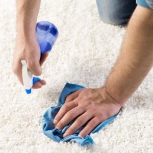 How To Get the Pet Smell Out of Carpet