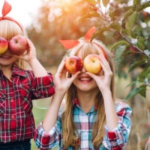Outdoor Activities for the Fall