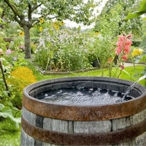 Ways To Capture and Store Rainwater