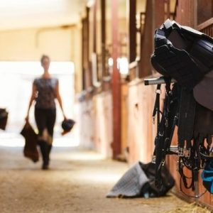 Tips for Starting a Horseback Riding Lessons Business