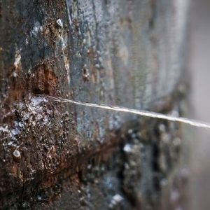 Ways To Prevent Pipe Corrosion
