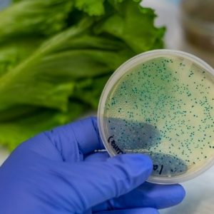 Tips for Preventing Contamination in Food Products