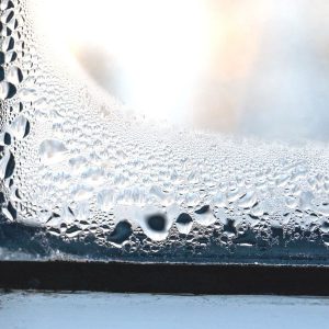 The Common Causes of Mold in Homes