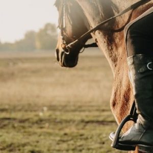 The Benefits of Horseback Riding