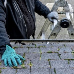 How To Check Your Home for Damage After a Storm