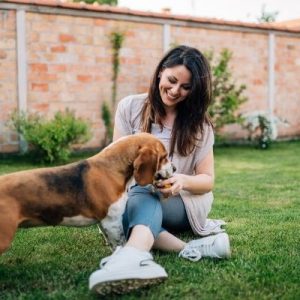 What To Do With Your Dog if You Go Out of Town