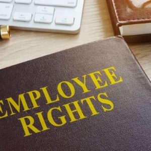 Basic Employee Rights You Should Know
