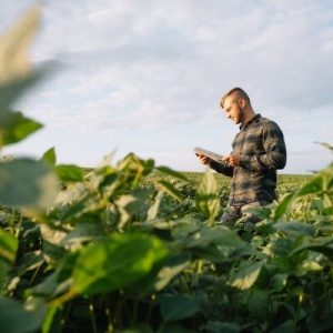 Tips To Help Beginning Farmers