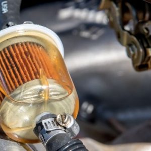 Things To Pay Attention to on Your Diesel Truck