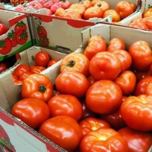 The Different Types of Product Packaging for Farms