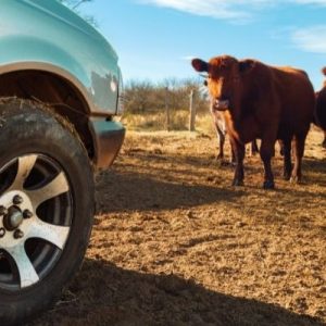 Essential Tools for Farm Maintenance