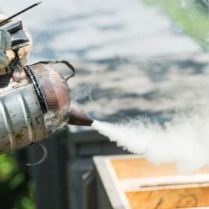 Why Beekeepers Use Smoke To Calm Bees
