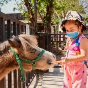 The Best Places for Socially Distanced Field Trips
