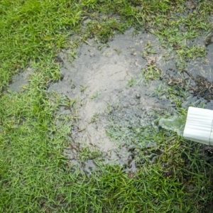 Why a Trench Drain Is the Best Way To Protect Your Yard