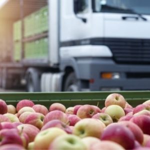 Essential Tips for Safely Transporting Food