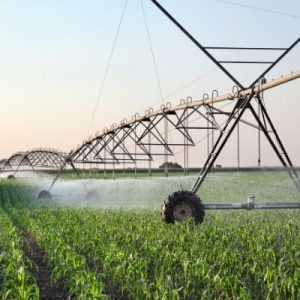 How To Water Your Farm Properly During a Drought
