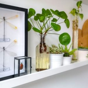 The Different Types of Hanging Brackets To Choose From