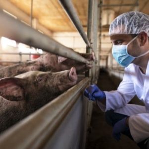 Which Animals Are the Most Difficult To Treat?