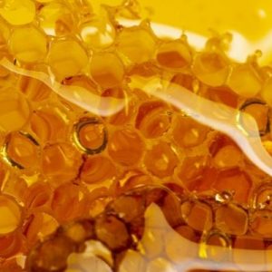 Essential Tips for Purchasing Bulk Honey