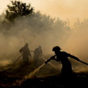 Things You Can Do To Protect Your Home From Wildfires