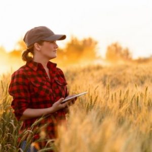 Must-Have Tools Every New Farmer Should Add to Their List