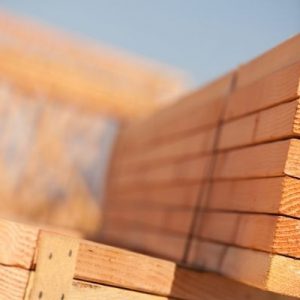 The Differences Between Lumber and Timber