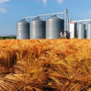 The Kinds of Food That Can Be Stored in Silos