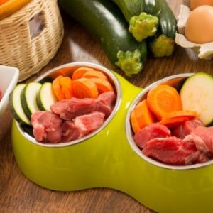 The Top Reasons Dog Food Ingredients Matter