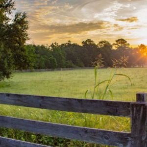 How To Build a Fence With Wildlife in Mind