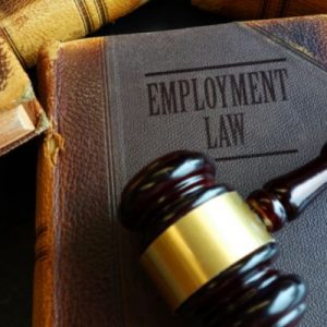 Traits To Look For When Hiring an Employment Lawyer