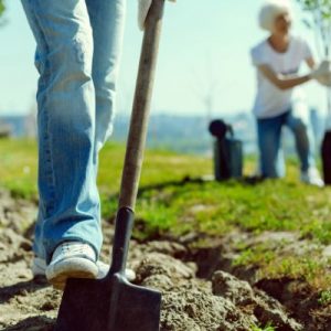 Best Things To Do When Living in a Rural Area