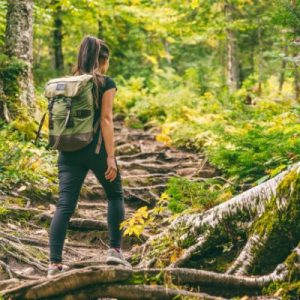 The Best T-Shirt Materials for Fall Hiking
