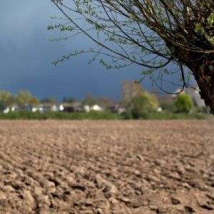 How To Prepare Your Uncultivated Land for Farming