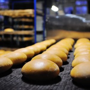 Choosing a Conveyor Belt for Food Processing
