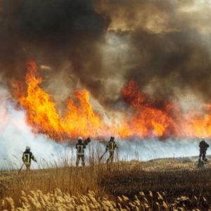Different Tools That Wildland Firefighters Use