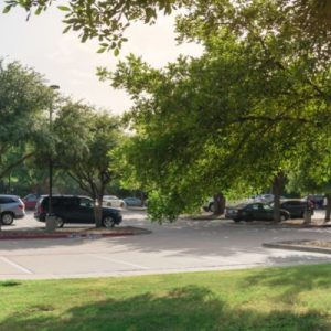 5 Ways To Keep Your Car Protected From Heat