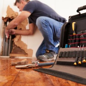 Toolbox Essentials: Which Tools You Need