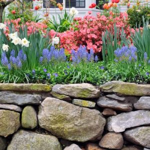 The Best Erosion Control Methods for Your Backyard