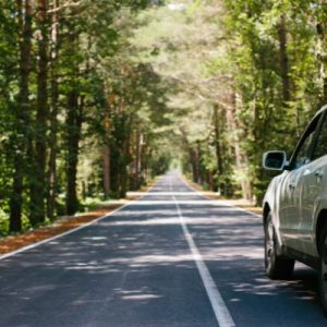 Things You Must Know Before Traveling To the South
