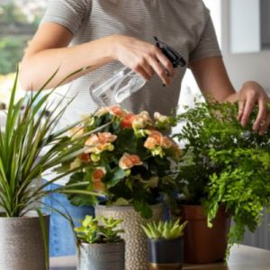 Eco-Friendly Ways To Decorate Your House
