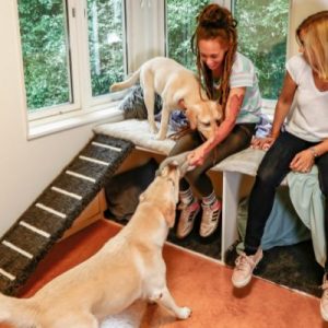 How To Not Feel Bad About Leaving Your Dog at Home