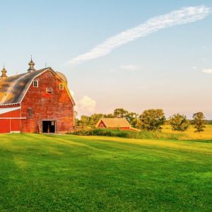 4 Ways That Small Farms Can Reduce Costs