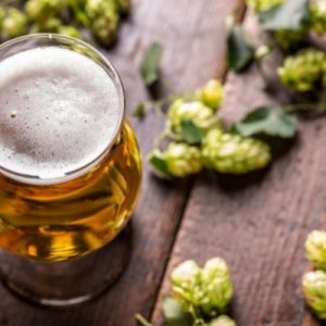 Does the Type of Beer Hop You Use Matter?