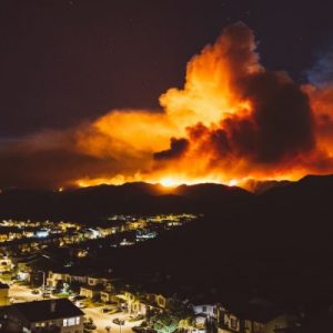 4 Ways To Prepare for a Wildfire Near You