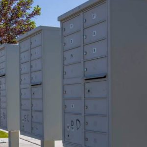 A community cluster mailbox in gray stainless steel stands on a sunny street with trees and a road in the background.