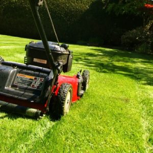 A lawn mower in action with someone pushing it off to the side. The lawn is green and healthy and the mower is red.