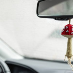A red, white, and beige handsewn felt mushroom keychain dangling from the rearview mirror of a vehicle.