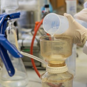A lab scientist at the work counter pouring a liquid into a large glass container. They're wearing a lab coat and gloves.