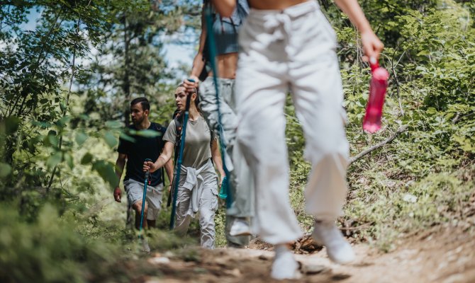 A low-to-the-ground shot of a group of four people trekking through a trail in the forest.