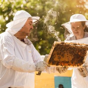 A man and a woman dressed in white beekeeping suits, white gloves, and protective veils observe a beehive.